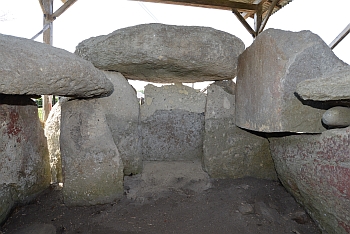 20250919saizon genmon.jpg(140365 byte)